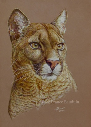 Keen Eyes - 63 hours
Brown Pastelmat Board
18.5" x 13.5"
First Place PAS online exhibition 2017
Bronze Citation TWASi 2017
Golden Turtle finalist 2017
Honorable Mention CPSA 2017 Keen Eyes - 63 hours
Brown Pastelmat Board
18.5" x 13.5"
First Place PAS online exhibition 2017
Bronze Citation TWASi 2017
Golden Turtle finalist 2017
Honorable Mention CPSA 2017